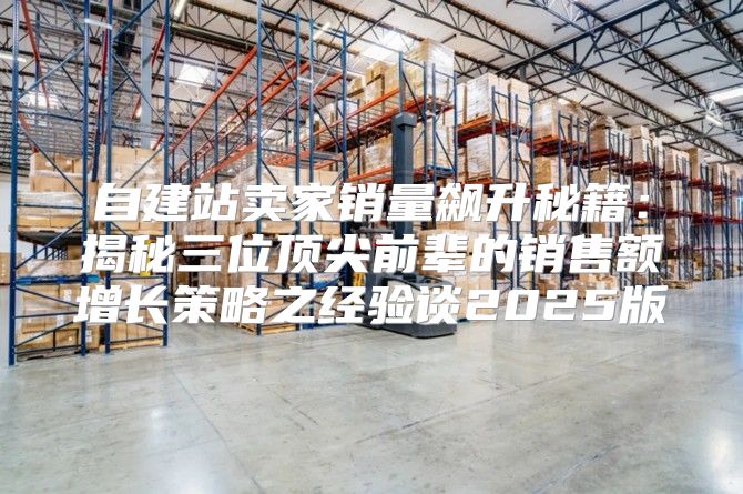 自建站卖家销量飙升秘籍：揭秘三位顶尖前辈的销售额增长策略之经验谈2025版