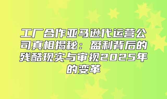 工厂合作亚马逊代运营公司真相揭秘：盈利背后的残酷现实与审视2025年的变革