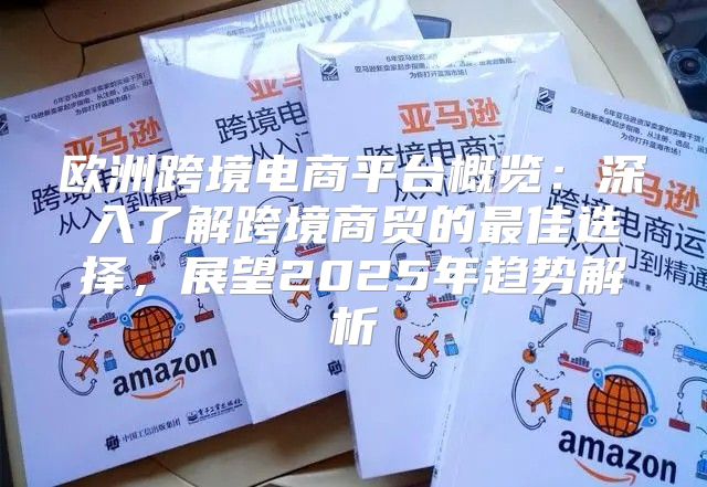 欧洲跨境电商平台概览：深入了解跨境商贸的最佳选择，展望2025年趋势解析