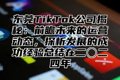 东莞TikTok公司揭秘：前瞻未来的运营动态，探析发展的成功经验总结在二〇二四年