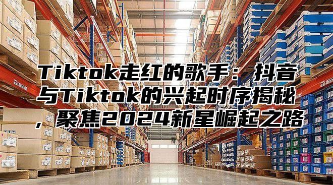 Tiktok走红的歌手：抖音与Tiktok的兴起时序揭秘，聚焦2025新星崛起之路
