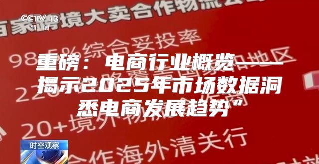 重磅：电商行业概览——揭示2025年市场数据洞悉电商发展趋势”