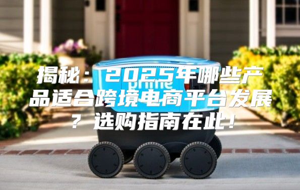 揭秘：2025年哪些产品适合跨境电商平台发展？选购指南在此！