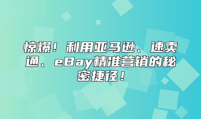 惊爆！利用亚马逊、速卖通、eBay精准营销的秘密捷径！