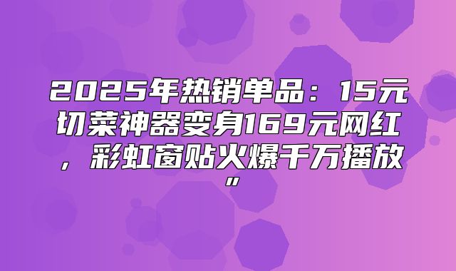 2025年热销单品：15元切菜神器变身169元网红，彩虹窗贴火爆千万播放”