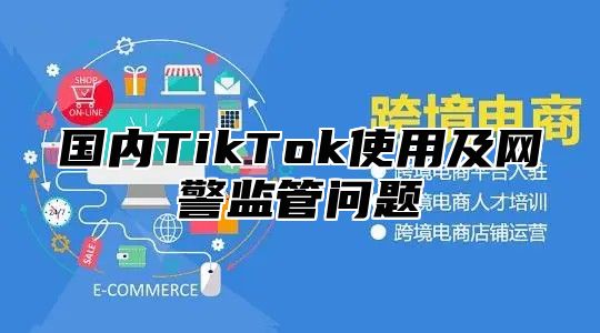 国内TikTok使用及网警监管问题