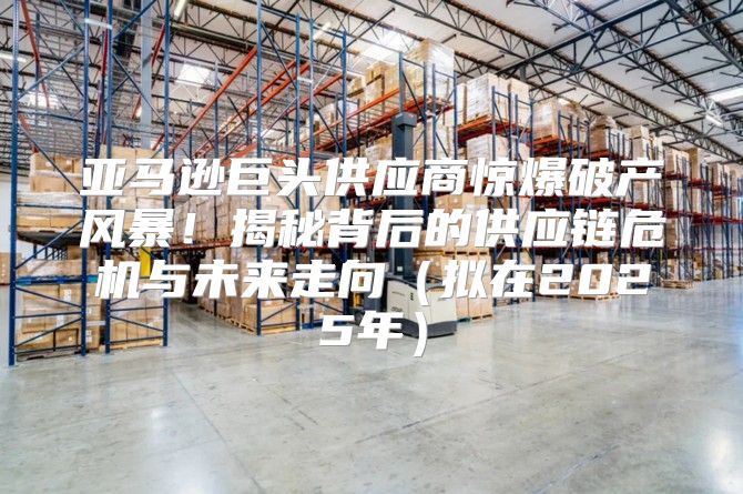 亚马逊巨头供应商惊爆破产风暴！揭秘背后的供应链危机与未来走向拟在2025年