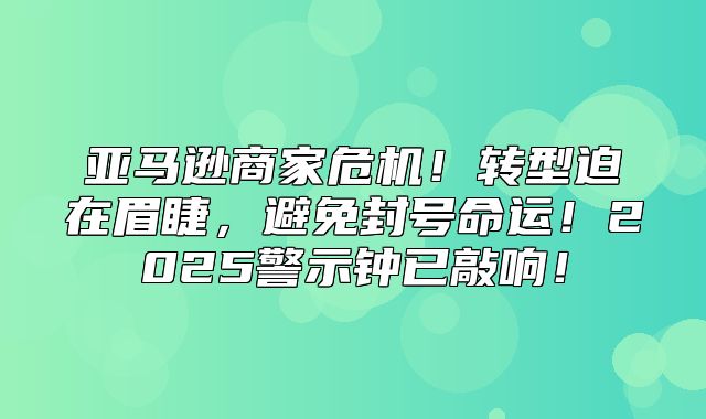 亚马逊商家危机！转型迫在眉睫，避免封号命运！2025警示钟已敲响！