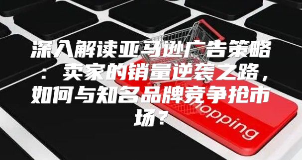 深入解读亚马逊广告策略：卖家的销量逆袭之路，如何与知名品牌竞争抢市场？