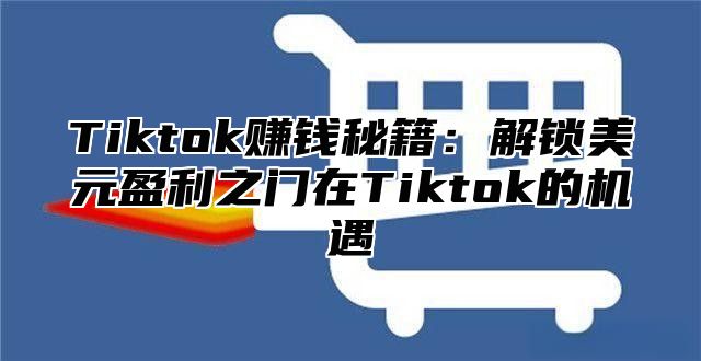 Tiktok赚钱秘籍：解锁美元盈利之门在Tiktok的机遇