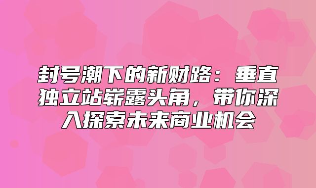 封号潮下的新财路：垂直独立站崭露头角，带你深入探索未来商业机会