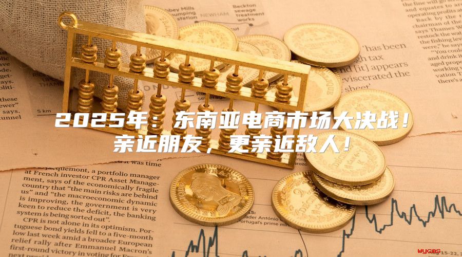 2025年：东南亚电商市场大决战！亲近朋友，更亲近敌人！