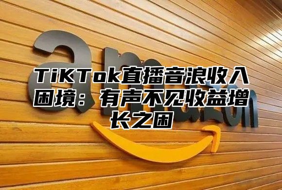 TiKTok直播音浪收入困境：有声不见收益增长之困