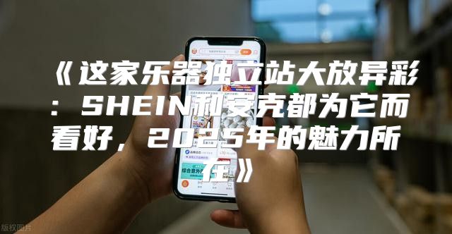这家乐器独立站大放异彩：SHEIN和安克都为它而看好，2025年的魅力所在