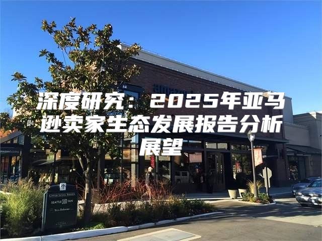 深度研究：2025年亚马逊卖家生态发展报告分析展望