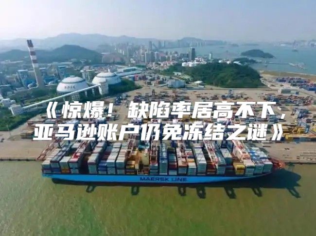 惊爆！缺陷率居高不下，亚马逊账户仍免冻结之谜