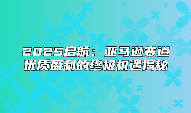 2025启航：亚马逊赛道优质盈利的终极机遇揭秘