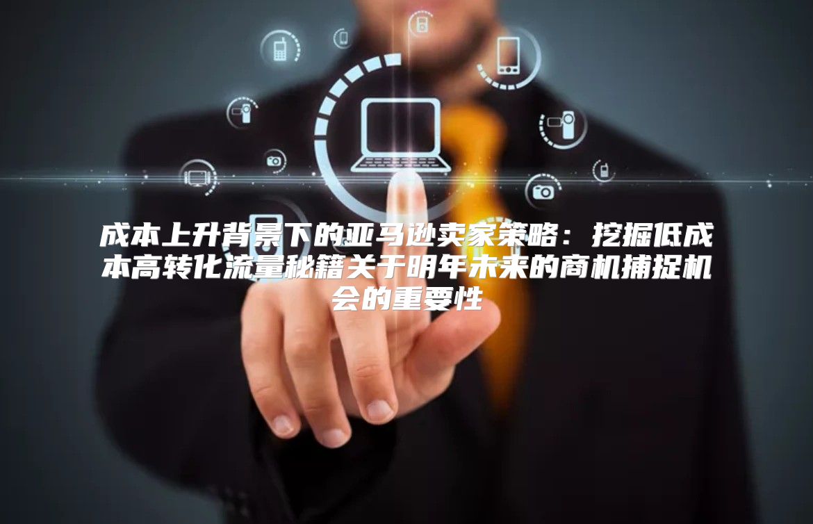 成本上升背景下的亚马逊卖家策略：挖掘低成本高转化流量秘籍关于明年未来的商机捕捉机会的重要性