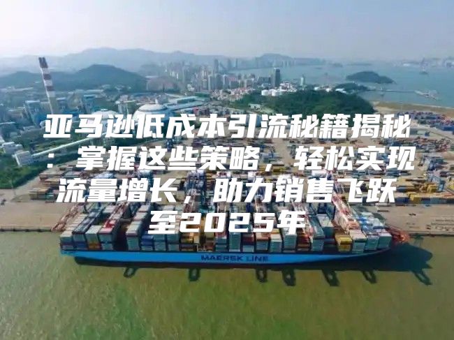 亚马逊低成本引流秘籍揭秘：掌握这些策略，轻松实现流量增长，助力销售飞跃至2025年