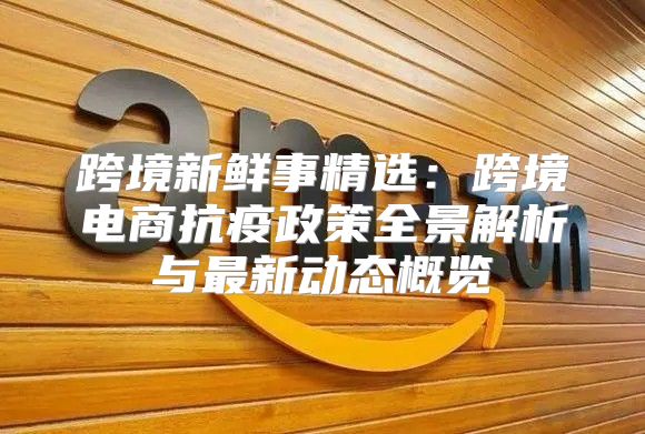 跨境新鲜事精选：跨境电商抗疫政策全景解析与最新动态概览