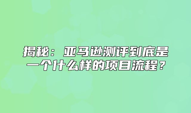 揭秘：亚马逊测评到底是一个什么样的项目流程？