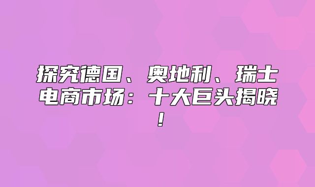 探究德国、奥地利、瑞士电商市场：十大巨头揭晓！