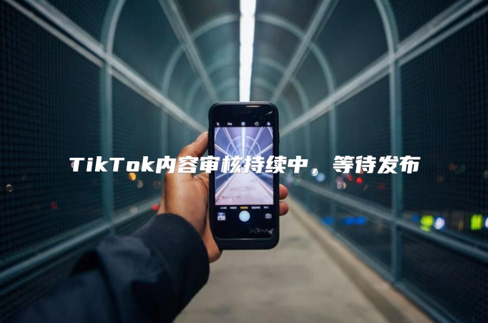 TikTok内容审核持续中，等待发布