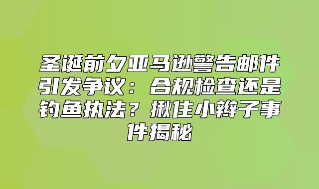 圣诞前夕亚马逊警告邮件引发争议：合规检查还是钓鱼执法？揪住小辫子事件揭秘