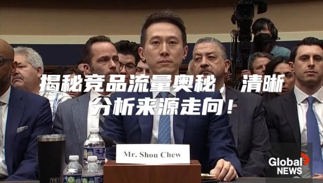 揭秘竞品流量奥秘，清晰分析来源走向！