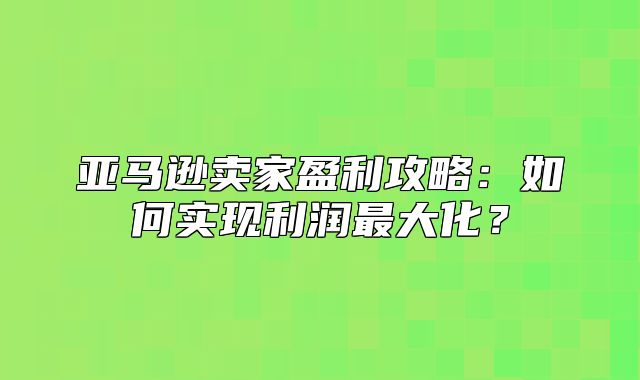 亚马逊卖家盈利攻略：如何实现利润最大化？