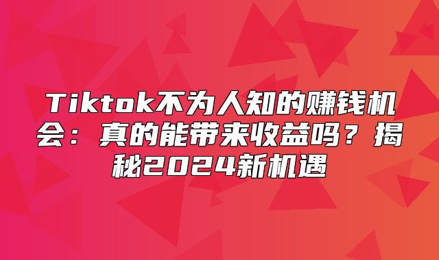 Tiktok不为人知的赚钱机会：真的能带来收益吗？揭秘2025新机遇