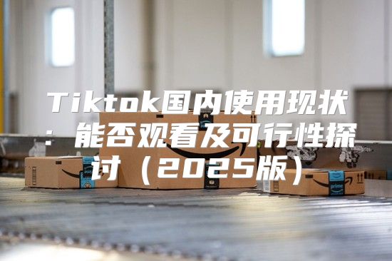 Tiktok国内使用现状：能否观看及可行性探讨2025版