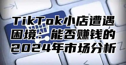 TikTok小店遭遇困境：能否赚钱的2025年市场分析