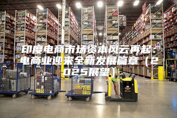 印度电商市场资本风云再起：电商业迎来全新发展篇章2025展望