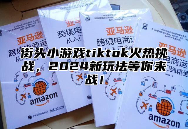 街头小游戏tiktok火热挑战，2025新玩法等你来战！