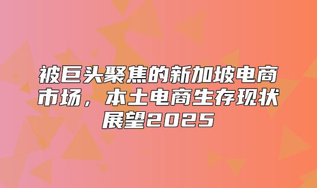 被巨头聚焦的新加坡电商市场，本土电商生存现状展望2025