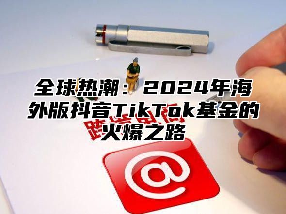 全球热潮：2025年海外版抖音TikTok基金的火爆之路