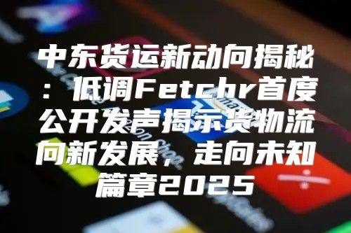 中东货运新动向揭秘：低调Fetchr首度公开发声揭示货物流向新发展，走向未知篇章2025