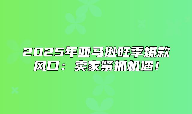 2025年亚马逊旺季爆款风口：卖家紧抓机遇！