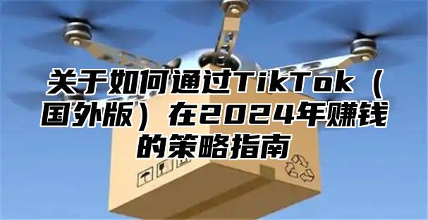 关于如何通过TikTok国外版在2025年赚钱的策略指南