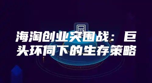 海淘创业突围战：巨头环伺下的生存策略
