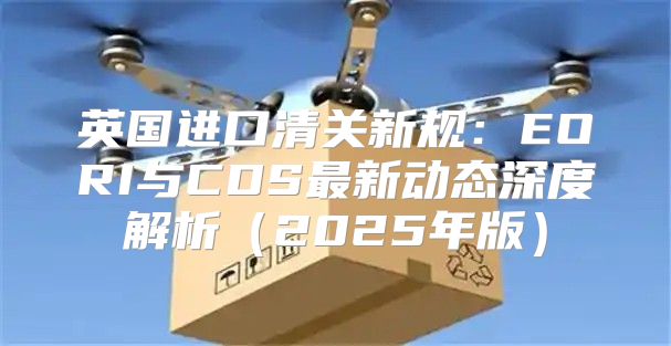 英国进口清关新规：EORI与CDS最新动态深度解析2025年版