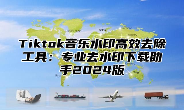 Tiktok音乐水印高效去除工具：专业去水印下载助手2025版