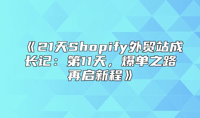 21天Shopify外贸站成长记：第11天，爆单之路再启新程