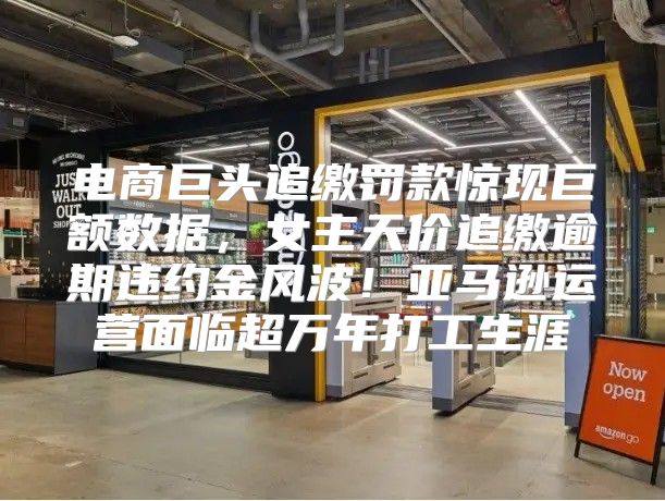 电商巨头追缴罚款惊现巨额数据，女主天价追缴逾期违约金风波！亚马逊运营面临超万年打工生涯
