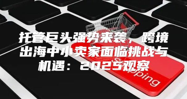 托管巨头强势来袭，跨境出海中小卖家面临挑战与机遇：2025观察