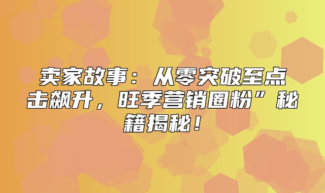 卖家故事：从零突破至点击飙升，旺季营销圈粉”秘籍揭秘！