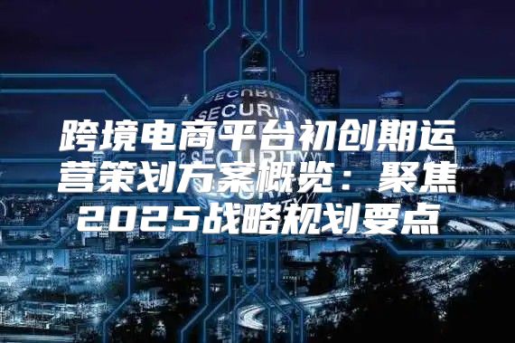 跨境电商平台初创期运营策划方案概览：聚焦2025战略规划要点