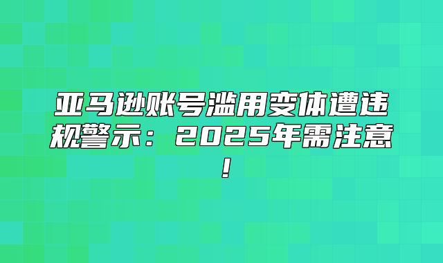 亚马逊账号滥用变体遭违规警示：2025年需注意！