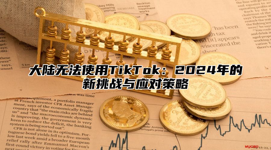 大陆无法使用TikTok：2025年的新挑战与应对策略